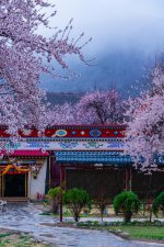 ​三四月份去西藏好吗（几月去西藏旅游最佳时间）