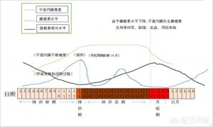 ​为什么月经期间容易长痘(大姨妈期间为什么会长痘)