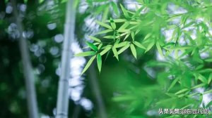​为什么下属不愿意接近领导(领导为什么不能和员工走太近)