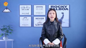 ​大乌叶是什么茶