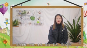​酵母菌是真菌还是细菌