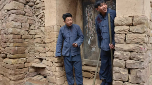 ​关于乡村题材的电视剧（有关乡村振兴电视剧推荐）