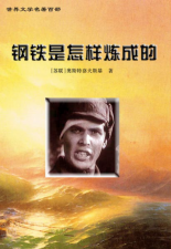 ​《钢铁是怎样炼成》的名著梗概（钢铁是怎样炼成的故事梗概）