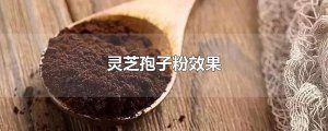 ​灵芝孢子粉效果