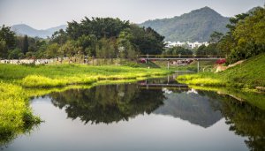 ​地上河和地下河的区别