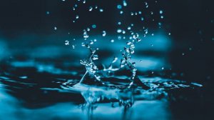 ​去除水中的水霉菌方法