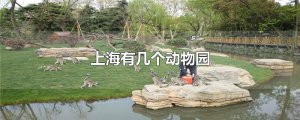 ​上海有几个动物园