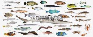 ​鱼属于海鲜类吗
