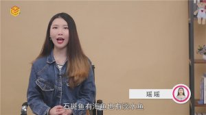 ​石斑鱼是海鱼还是淡水鱼