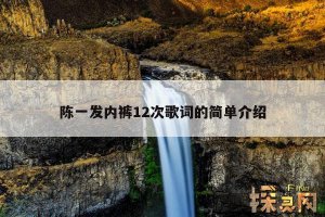 ​陈一发内裤12次歌词的简单介绍