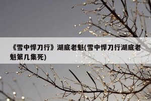 ​《雪中悍刀行》湖底老魁(雪中悍刀行湖底老魁第几集死)
