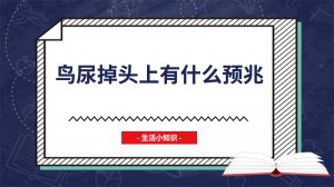 ​鸟尿掉头上有什么预兆