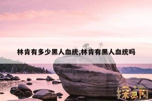 ​林肯有多少黑人血统,林肯有黑人血统吗