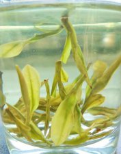 ​一斤茶大概多少泡(寿眉煮茶需要几分钟)