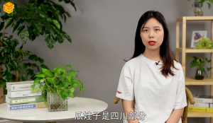 ​瓜娃子是什么意思