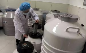 ​捐一次精可以得多少钱