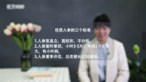 ​优质人参的标准有三个分别是什么