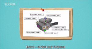 ​蒙娜丽莎为什么没有眉毛