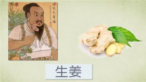 ​生姜的功效与作用有哪些