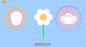 ​茶叶属于什么类目