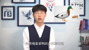 ​杀鸭子杀什么位置