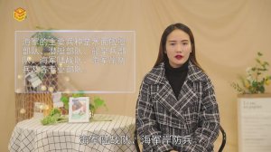 ​海军兵种有哪些