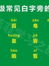 ​白加反念什么(白加反读什么)