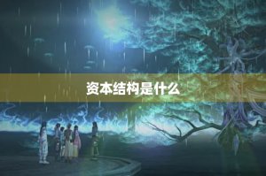​资本结构是什么