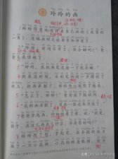 ​啪是什么意思