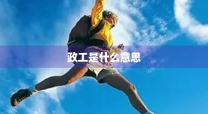 ​政工是什么意思