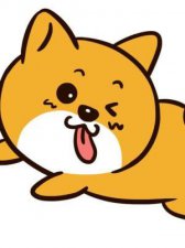 ​简答题是什么意思(简答题答题格式)
