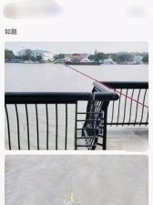 ​锚鱼是什么意思(十三种禁用渔具图片)