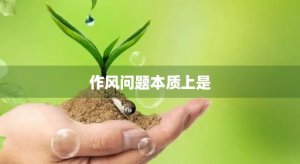 ​作风问题本质上是(作风问题本质是什么的问题生活)