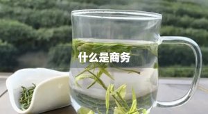 ​什么是商务(什么是商务数据)