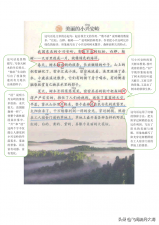 ​什么的花坛填空