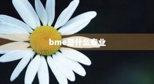 ​bme是什么专业(bme是什么专业 ee)