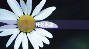 ​什么不息(奔什么不息)