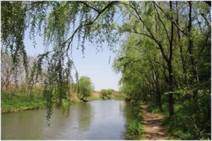 ​上海十大公园排名(上海十大公园排名百度)