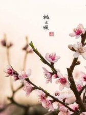 ​poem是什么意思(when是什么意思)