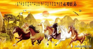 ​午是什么生肖(午是什么时辰几点)