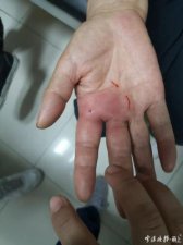 ​红鱼是什么鱼(红色的海鱼是什么鱼)
