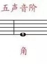 ​徵的读音(鹳的读音是什么意思)