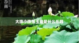 ​大珠小珠落玉盘是什么乐器(大珠小珠落玉盘是指哪种乐器)