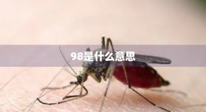 ​98是什么意思(98是什么意思服务)