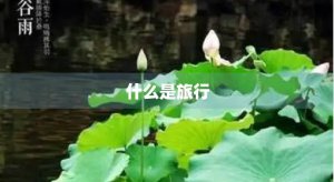 ​什么是旅行
