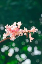 ​悄悄地什么(悄悄地什么填词语答案)