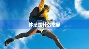 ​体感是什么意思