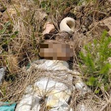 ​女子在海边挖呀挖，突然看到…差点瘫在地上