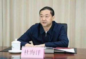 ​杜海洋任武汉市委常委