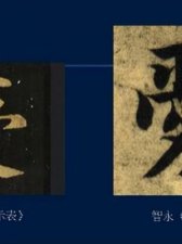 ​绞丝旁加是(绞丝旁加是什么意思)